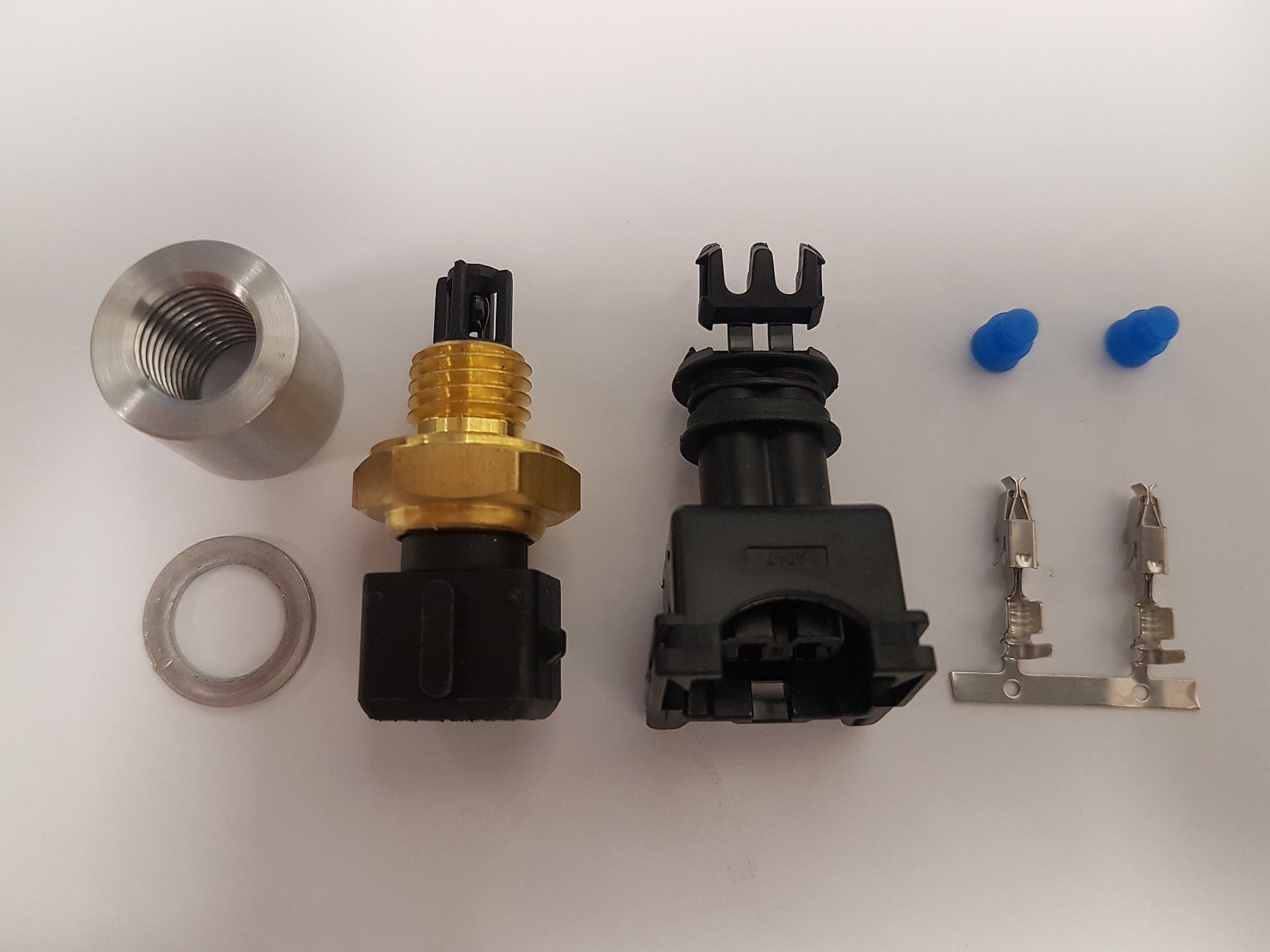 IAT Sensor Ansauglufttemperatur